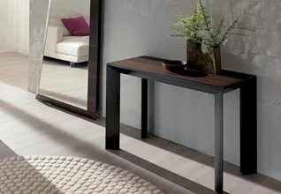 Furniture Delivery Services